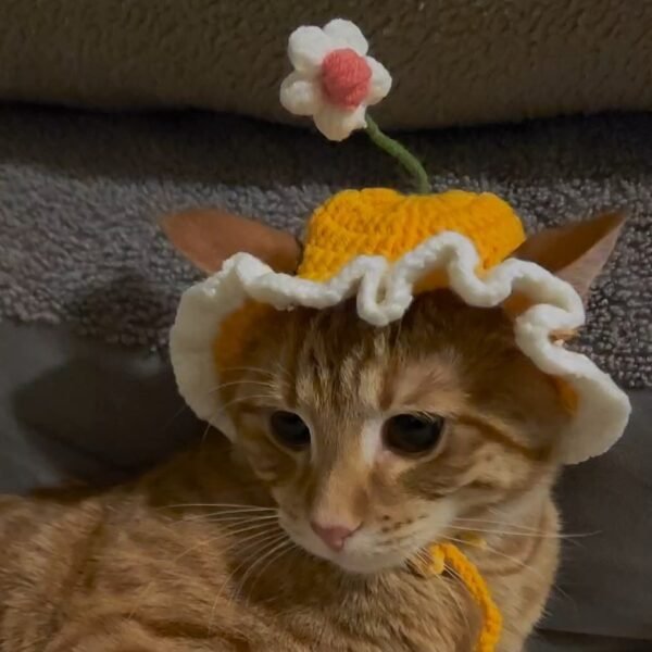Daisy Delight Crochet Hat