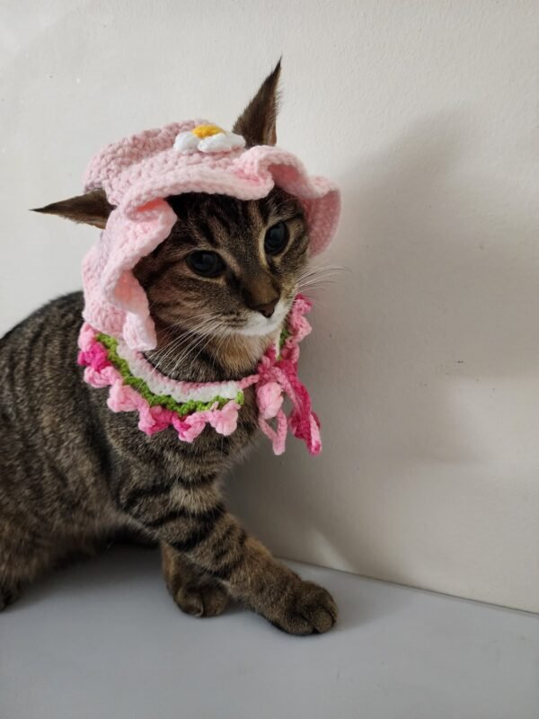 Pink Daisy Baby Crochet hat ONLY